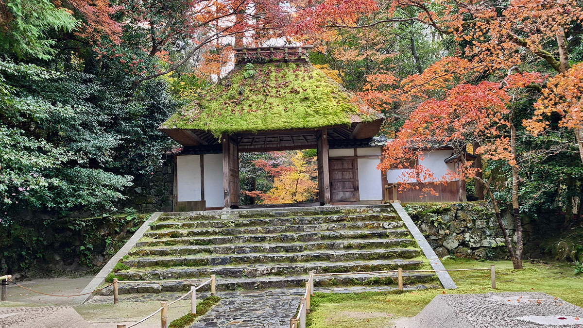 Осенние краски Киото