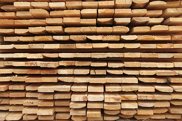    © Игорь Катаев