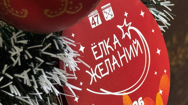 Фото: Администрация Всеволожского района