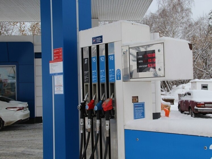     Фото иллюстративное Источник: МК на Алтае/Инесса Гофштейн