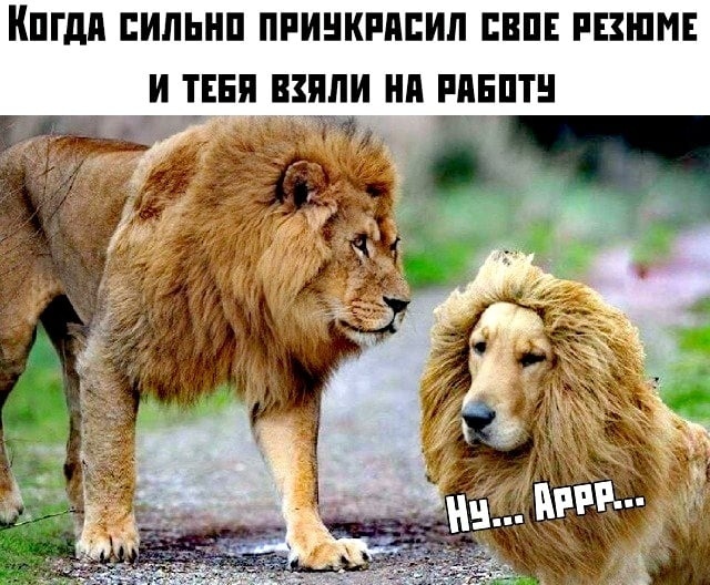 Источник: соцсети