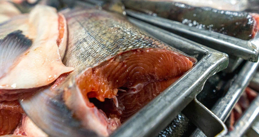 Сахалин и Приморье увеличили поставки рыбы за рубеж в 1,2 раза