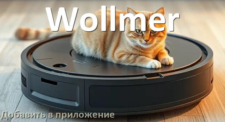 
Как добавить робот-пылесос Wollmer в приложение и подключить