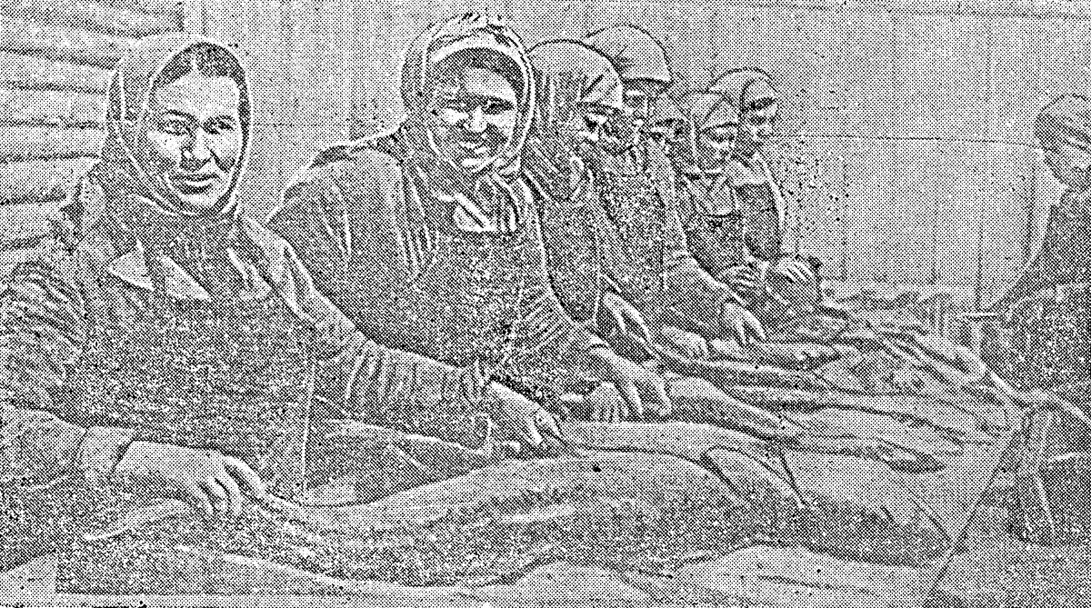 Рыбозавод «Ныйво». На первом плане лучшие стахановки тт. Верещагина А. Ф. и Пантелеева П. И., систематически перевыполняющие нормы выработки на обработке рыбы.
Фото Г. ТРАСКОВСКОГО.