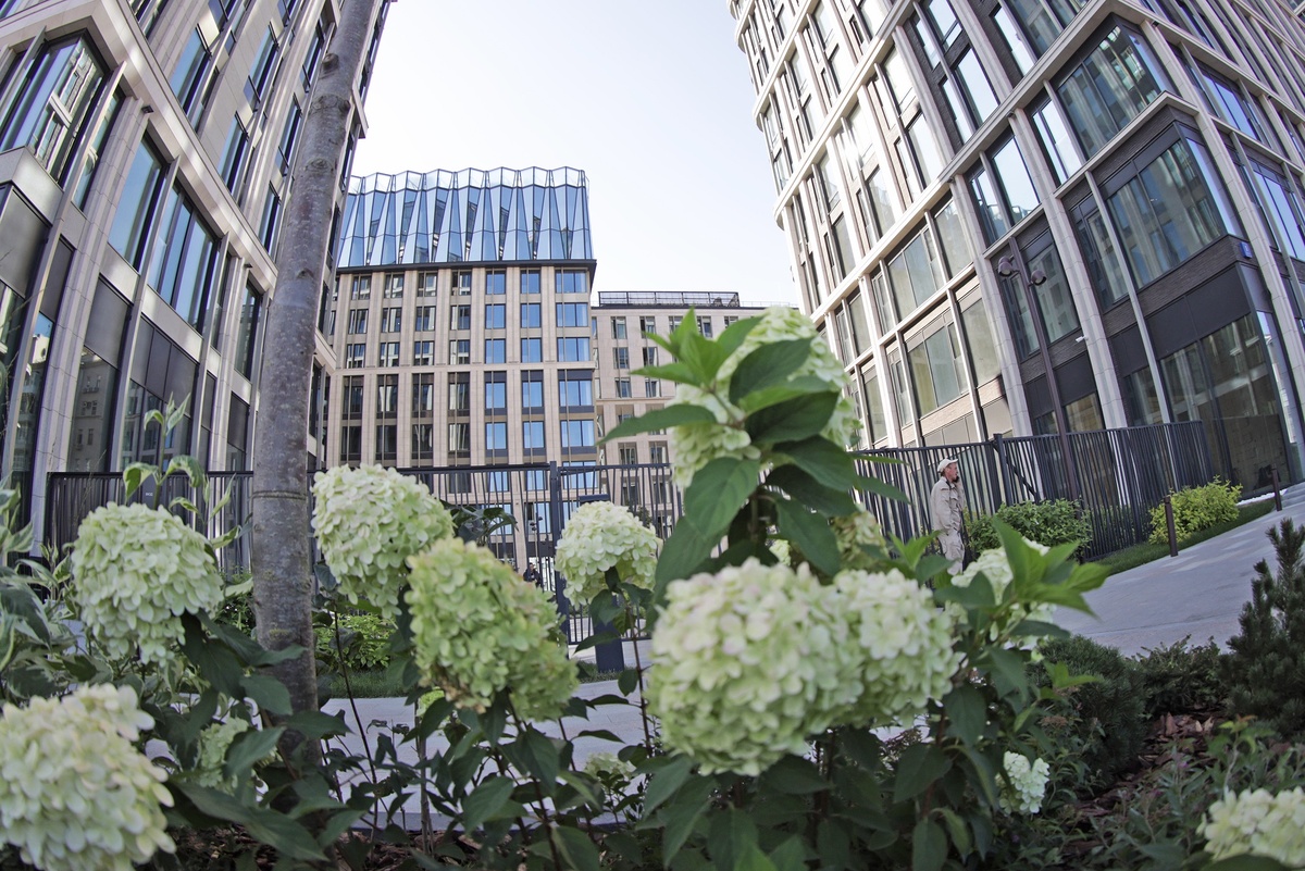    Сергей Куксин / РГ