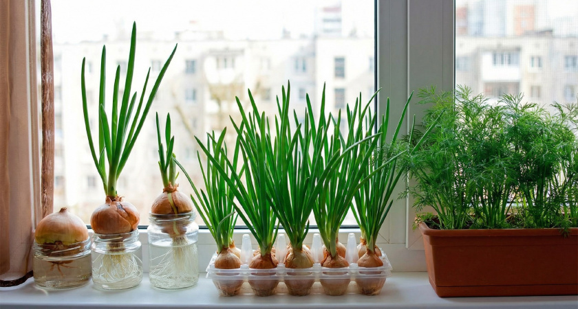    фото из архива редакции