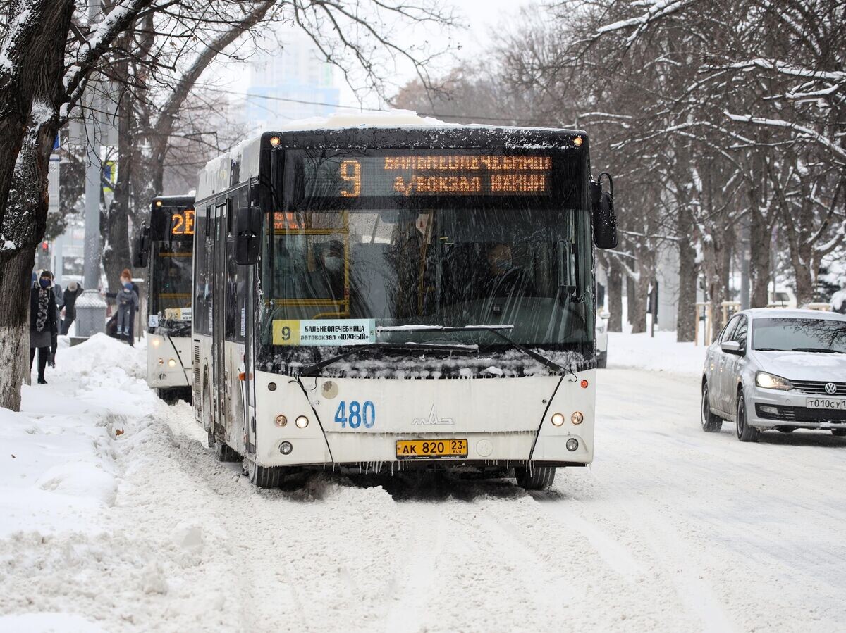    Автобусы на улице Красная в Краснодаре | © РИА Новости / Виталий Тимкив