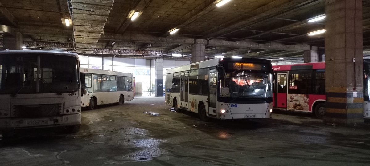    Фото: Дмитрий Павлов