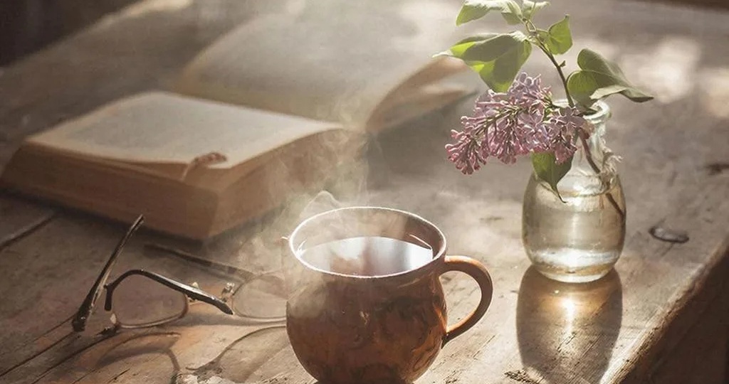 День 20. Черновик, в который вы записываете свою жизнь 📜