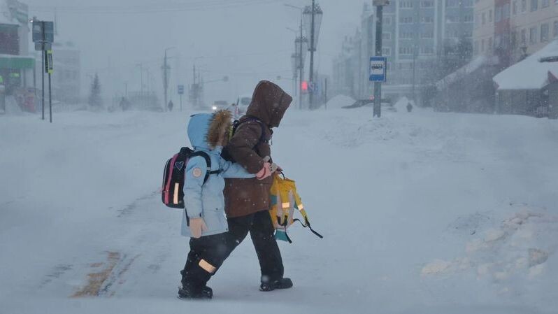    Фото: Андрей Ткачев / «Ямал-Медиа»