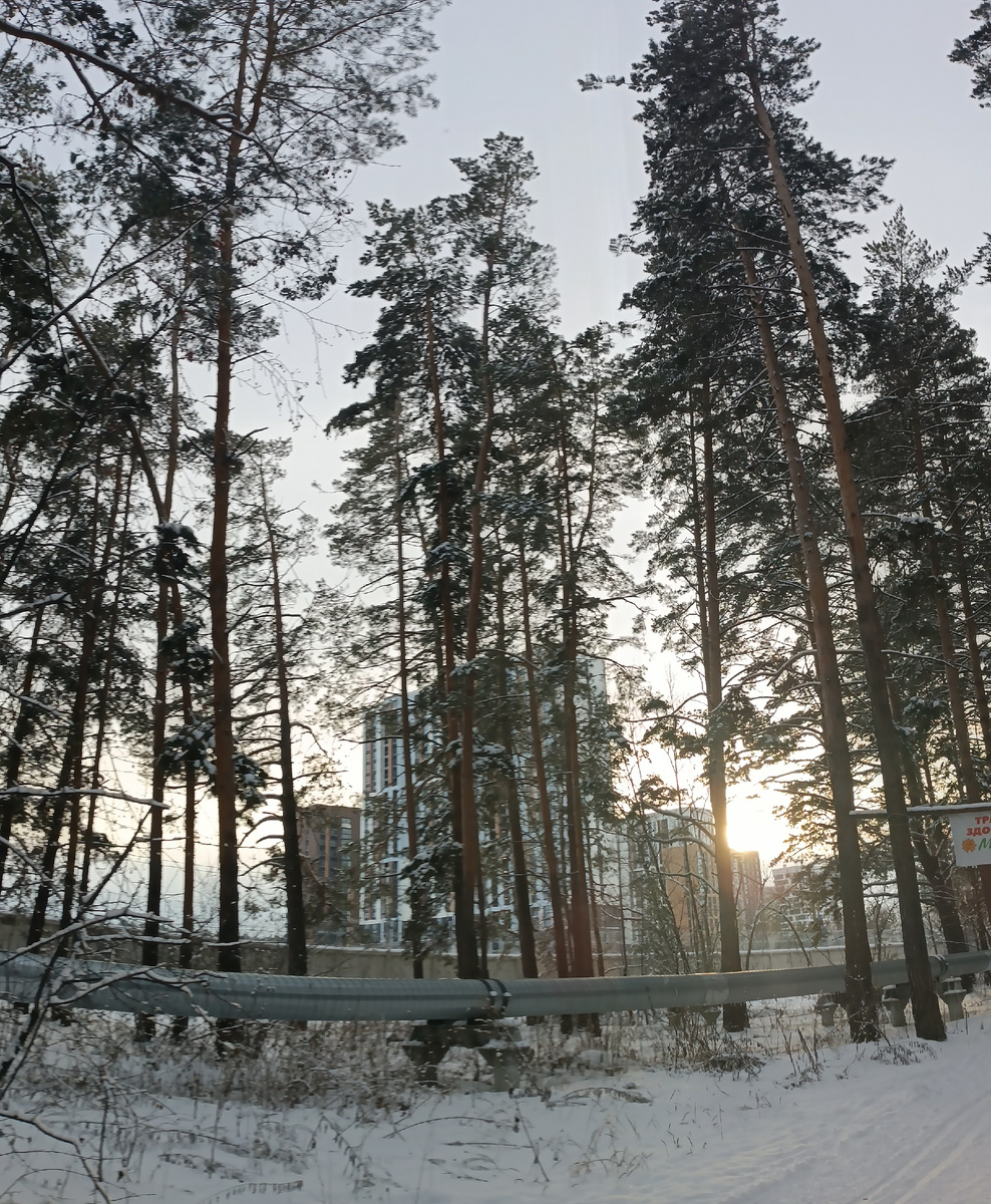 Где-то на просторах моего города. Фотография автора, декабрь 2025 года. 