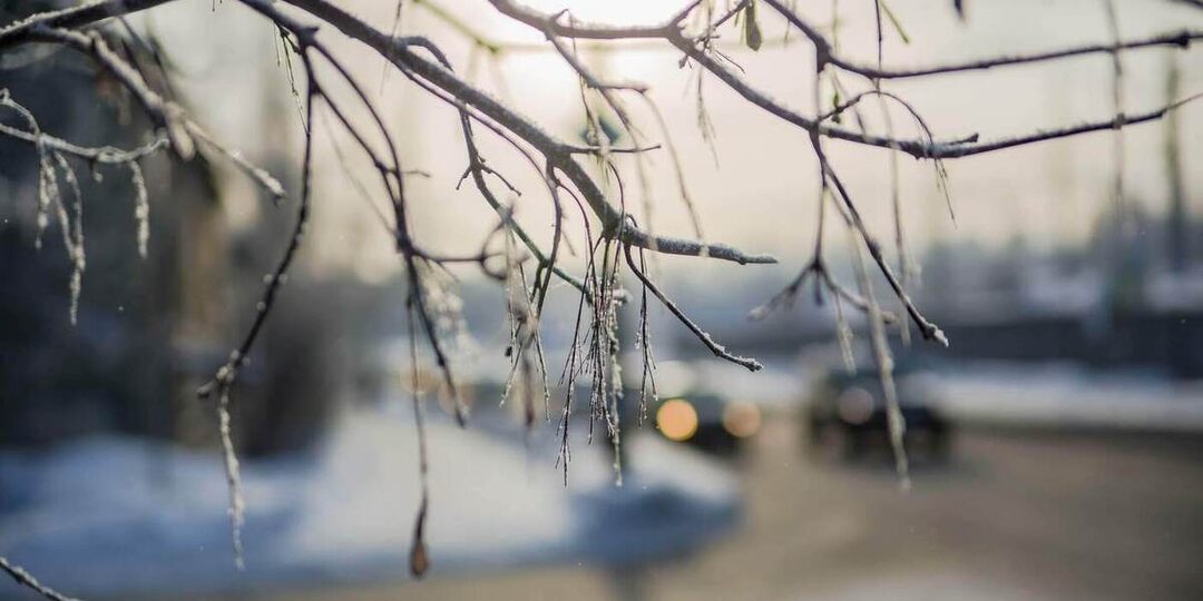 16 декабря в Карелии пройдёт дождь и потеплеет до +3°C