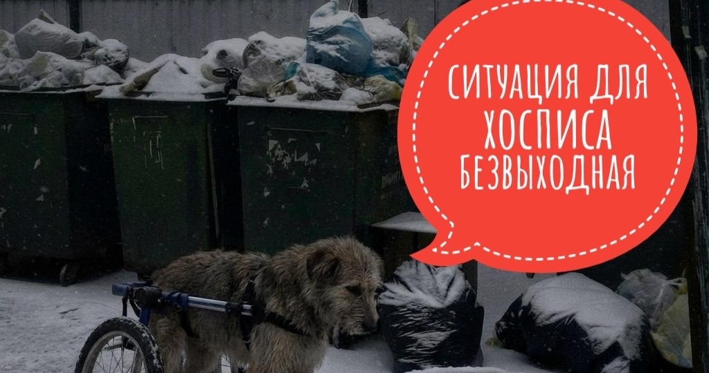 Мы не собрали на аренду, ждать больше НЕ ХОТЯТ, куда нам податься…