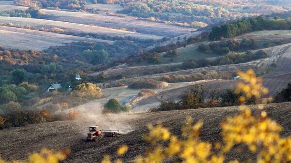    © РИА Новости . Сергей Мальгавко
