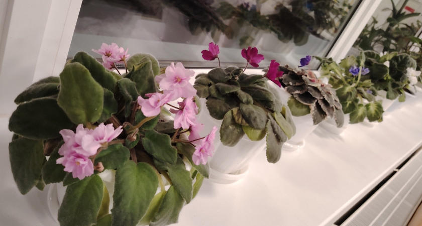    Фото редакции