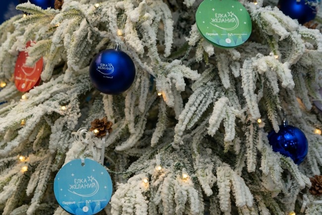   Ёлка желаний / Фото: правительство Магаданской области