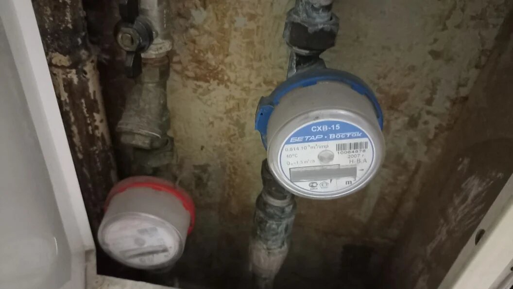    ФОТО: Царьград