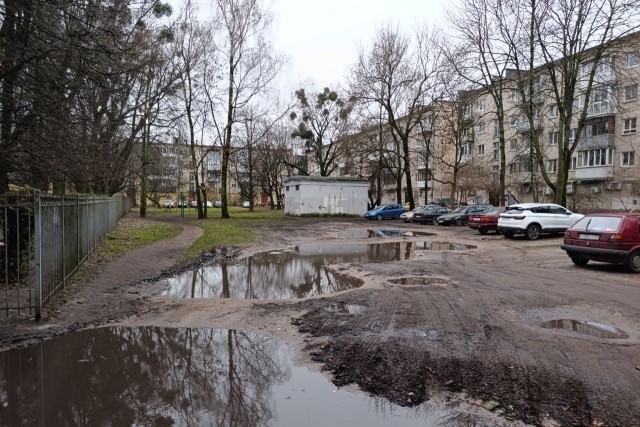   Фото: Калининград.Ru