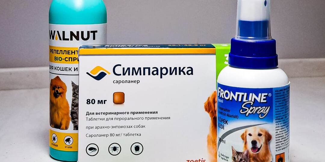 Снег выпал, а мы говорим про клещей. Потому что весной будет поздно