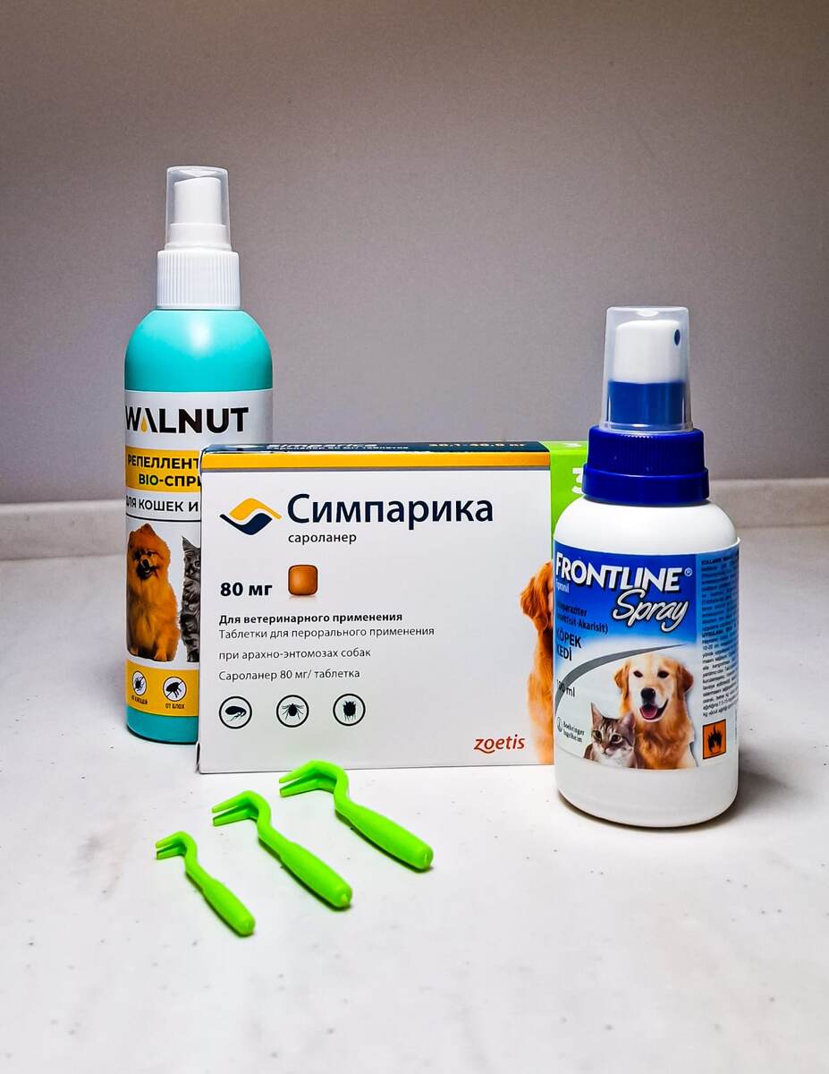 Фото автора канала Американский булли: Все по делу. Наша домашняя аптечка против клещей для булли Лейлы. Делимся своими находками. Не является рекламой!