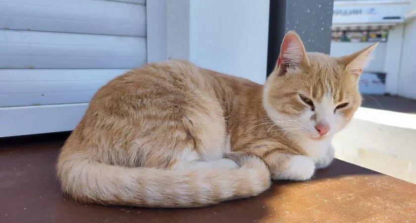    Фото usolie.info