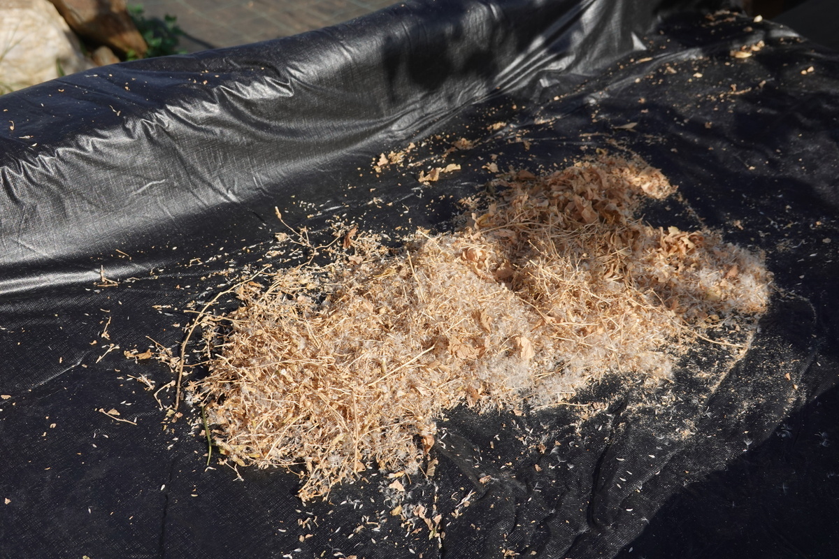 Немало пользы опилки принесут всем, кто знает, что с ними делать