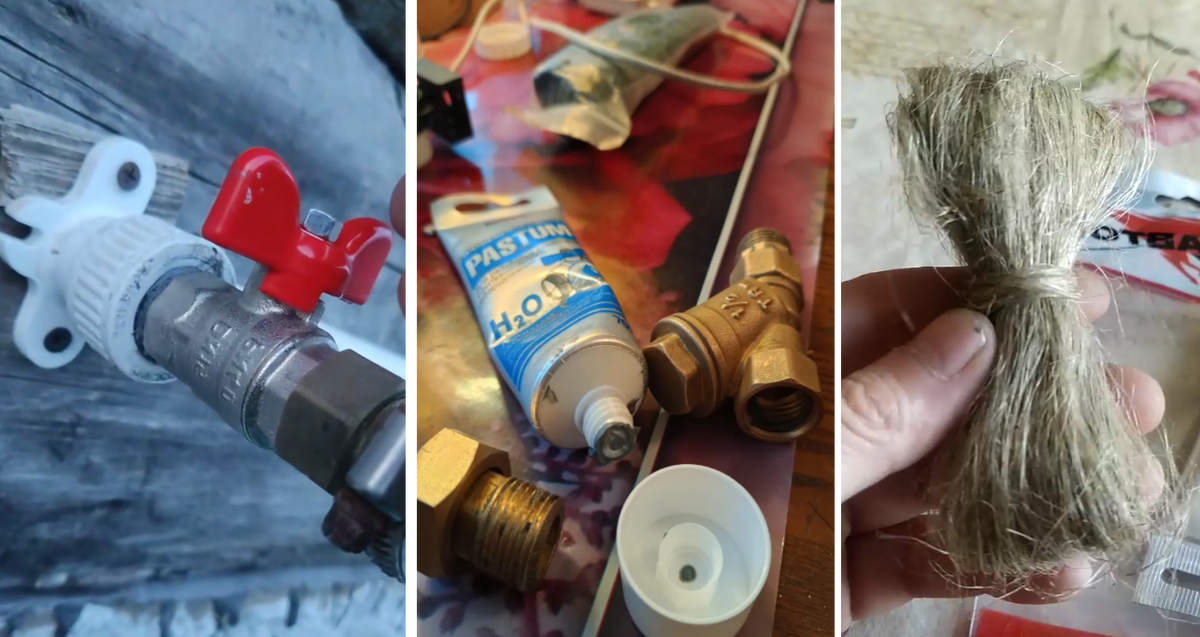 Фото: из открытых источников