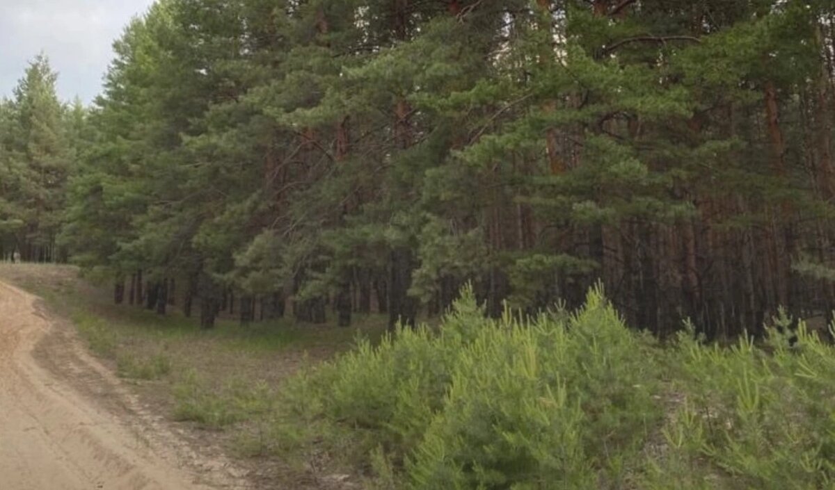    Фото: Минприроды Ростовской области