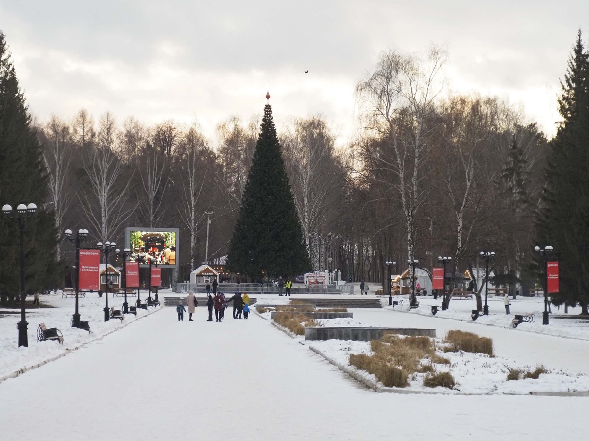 Новогодняя ель исчезла спустя две недели после установки.  Фото: ФедералПресс / Антон Федулов