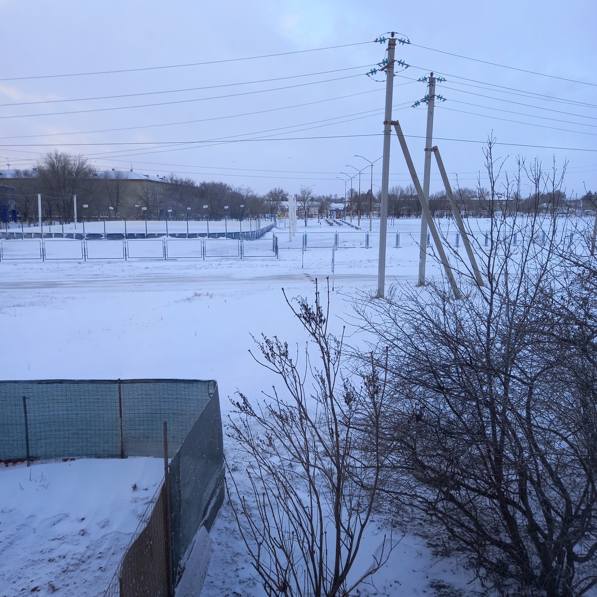 Утро из моего окна