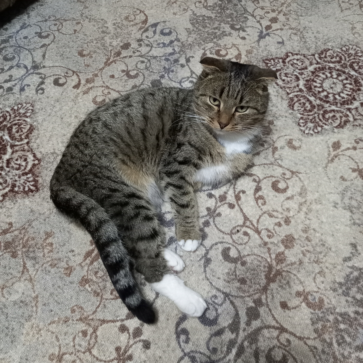 Всё! Я спать!