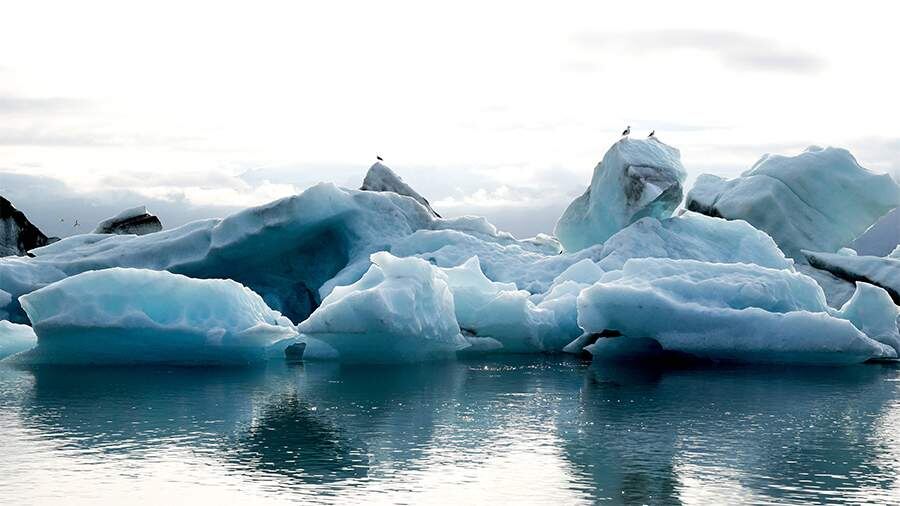    Фото: Global Look Press/IMAGO/Sabine Gudath