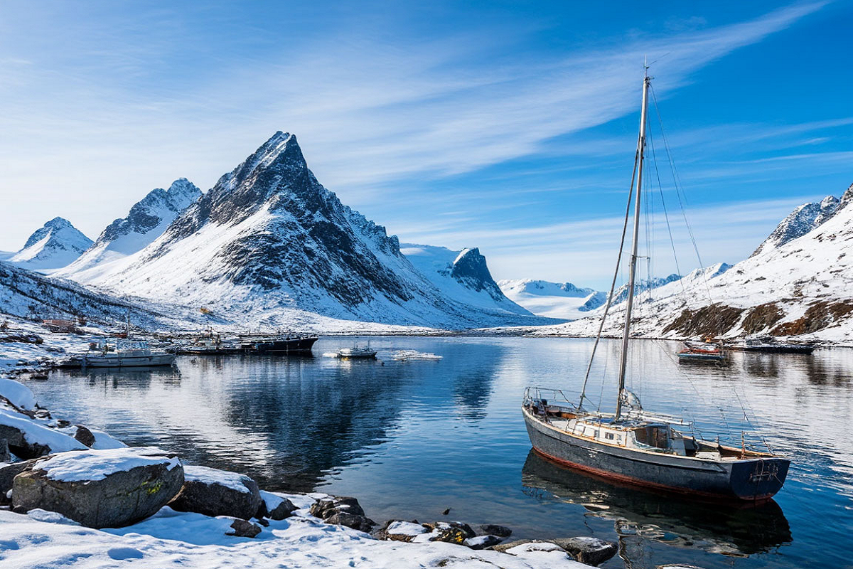    Фото: коллаж RuNews24.ru