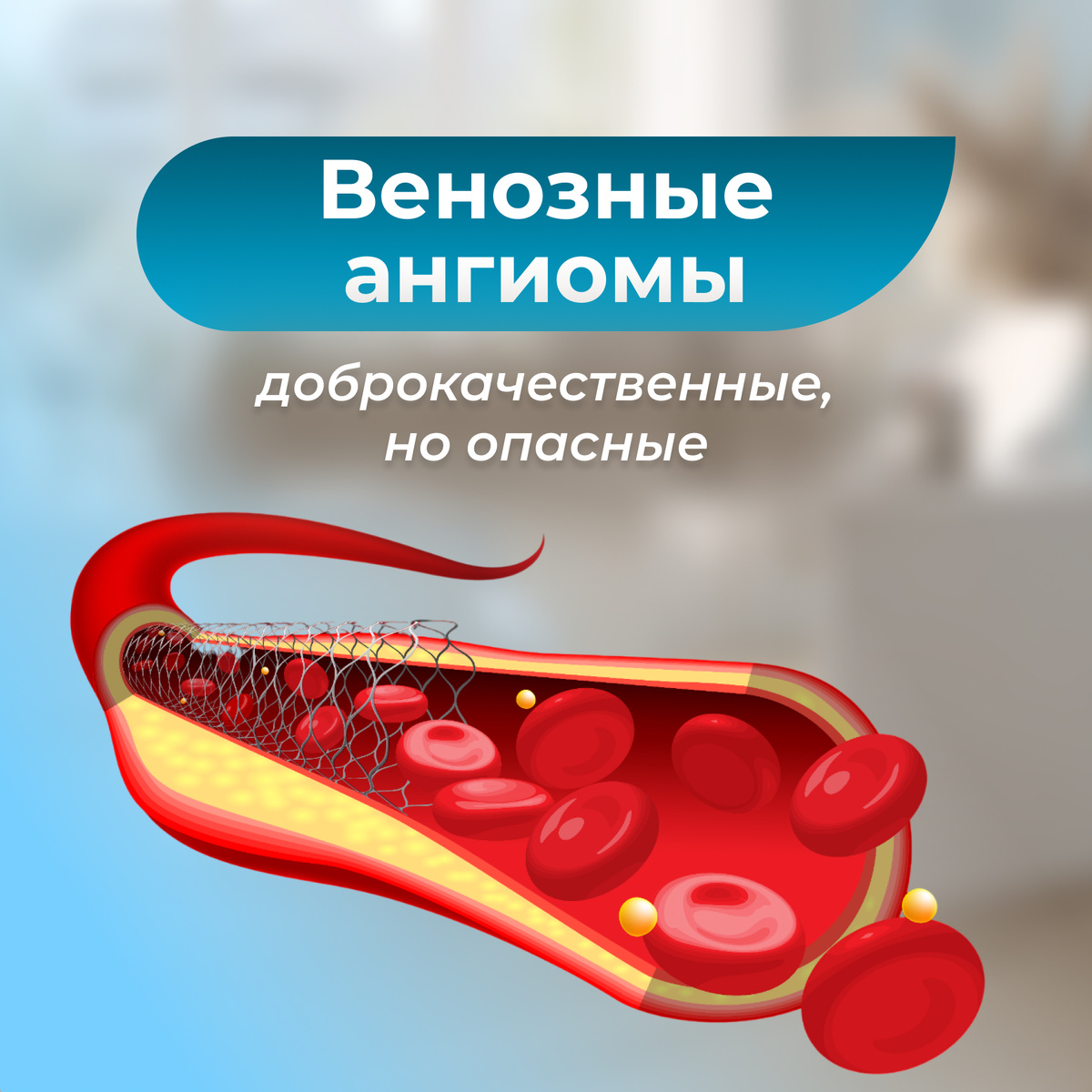 Харисов Артур Ахиярович. Республика Башкортостан: г. Уфа. 
Оренбургская область: г. Гай, Орск, Плешаново. Челябинская область: г. Златоуст, Кизил.
