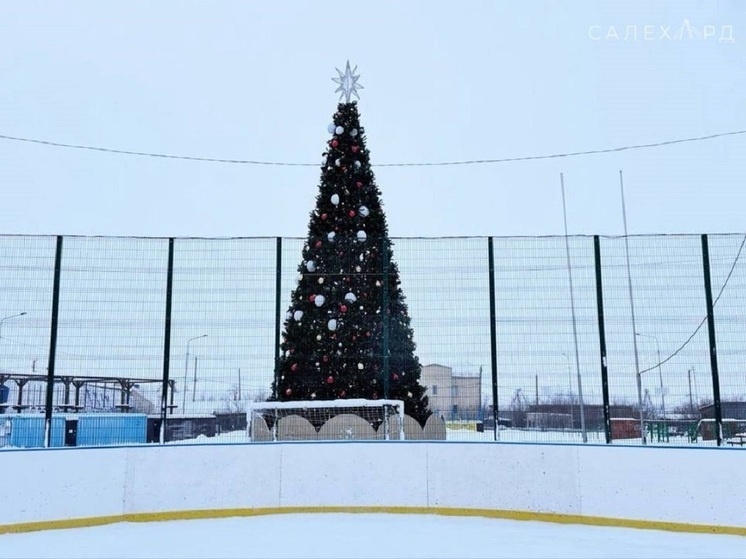     Фото: администрация Салехарда