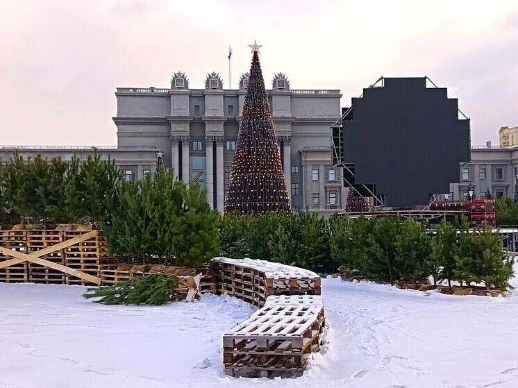     На площади Куйбышева выросли целые лабиринты из сосен. Их здесь больше, чем на любой ярмарке, но не для продажи. Фото: МК в Самаре