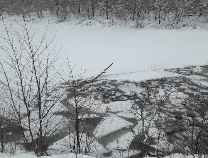 В Башкирии под лёд провалились более двухсот овец