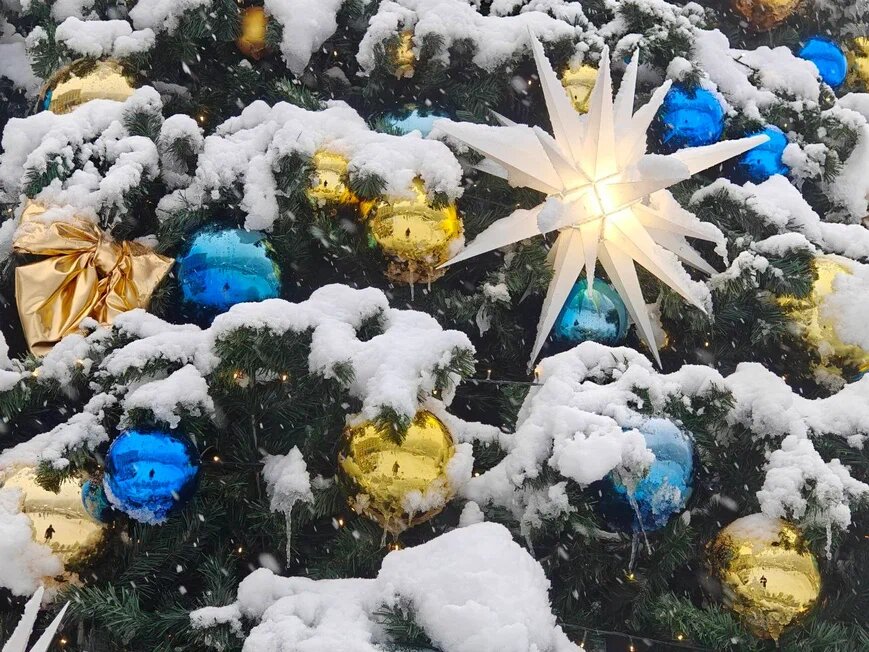    Фото: Юрий Серебренников/BFM Кубань