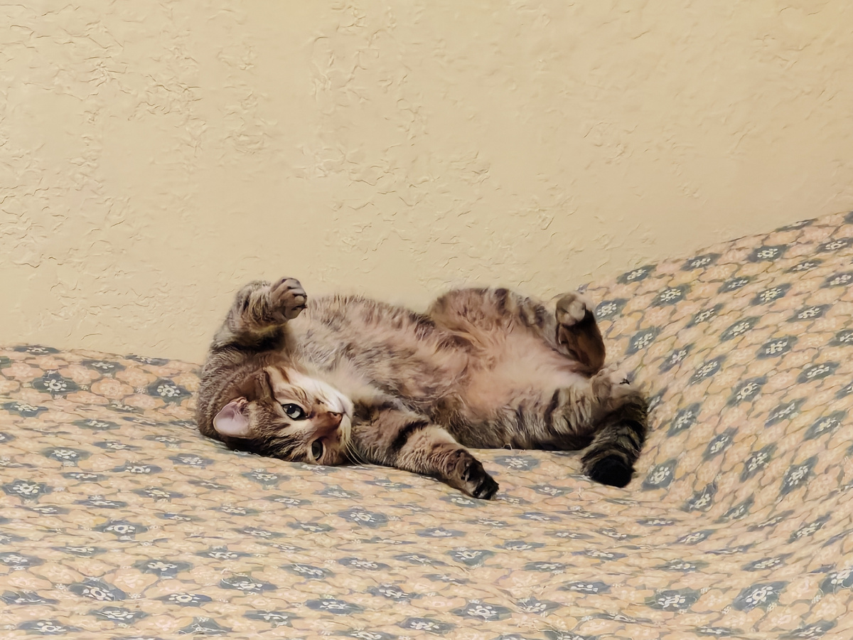 Хорошего дня!