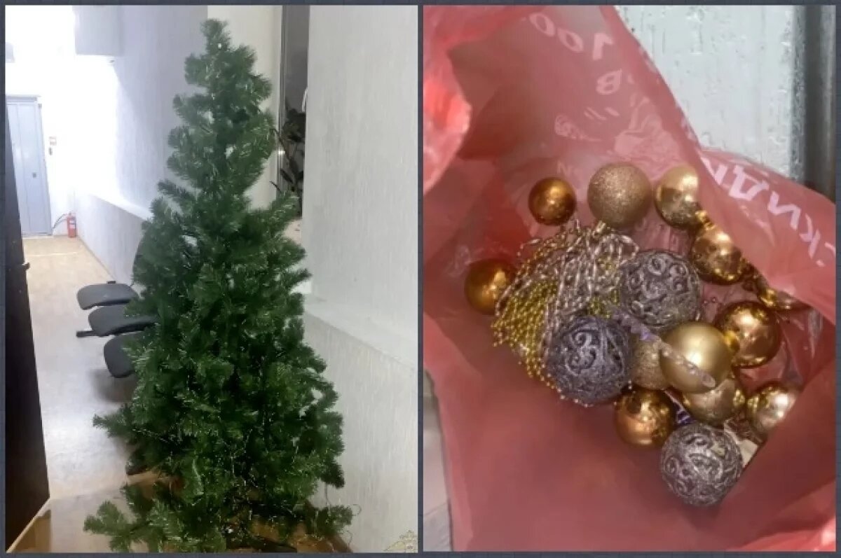    6 лет колонии и штраф грозят трем похитителям новогодней елки в Волгограде