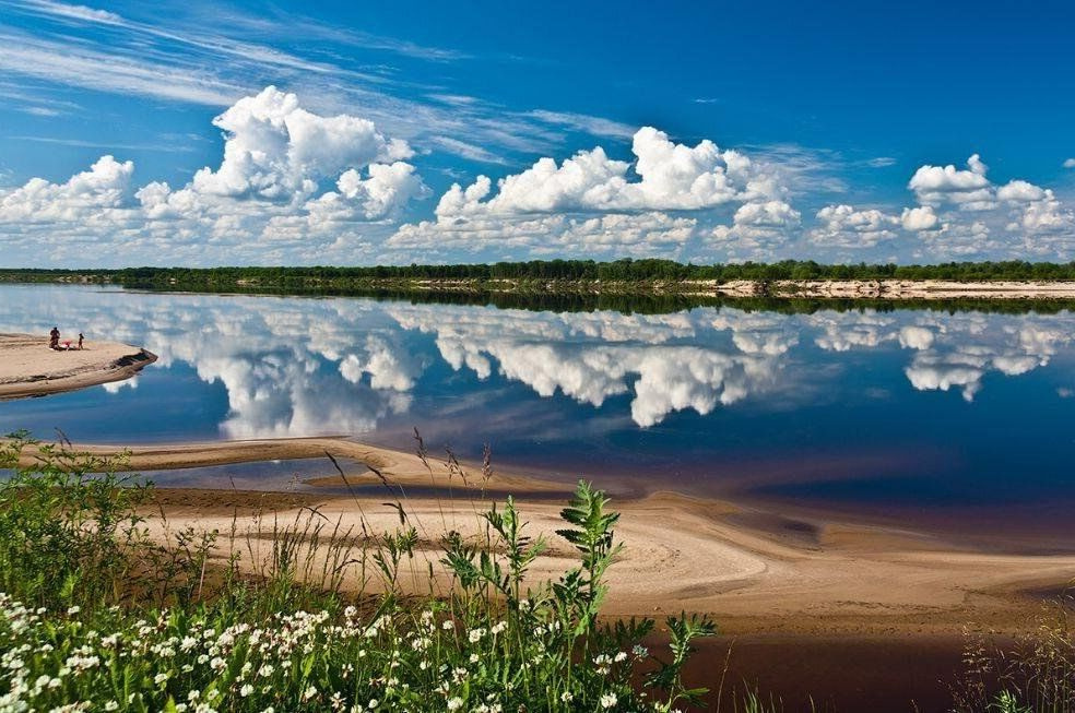 Россия: причины почему нельзя воду из северных рек перебрасывать на юг страны. Фото из Яндекс картинки