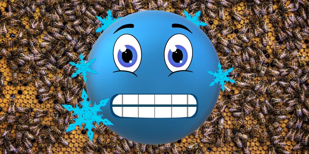 Если матка зимой рано начнёт сеять. Что делать новичку?