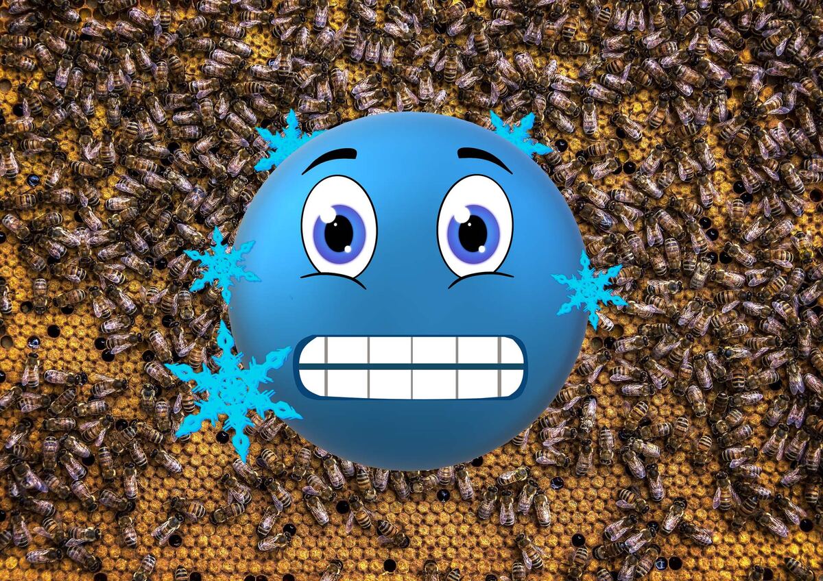 Зимний расплод