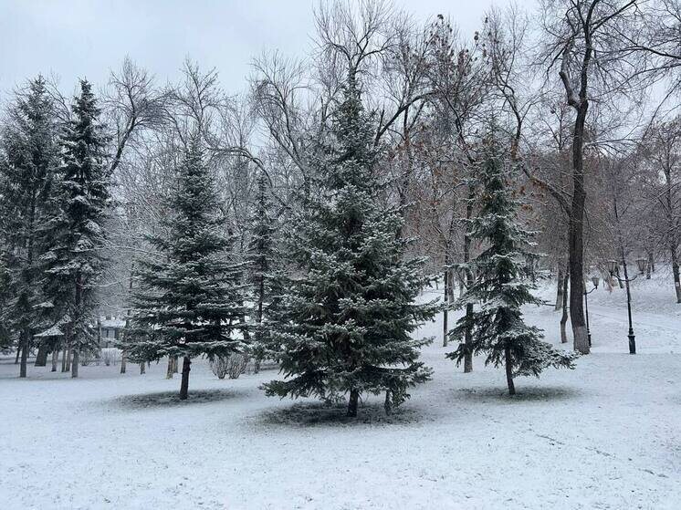     фото: мк в самаре