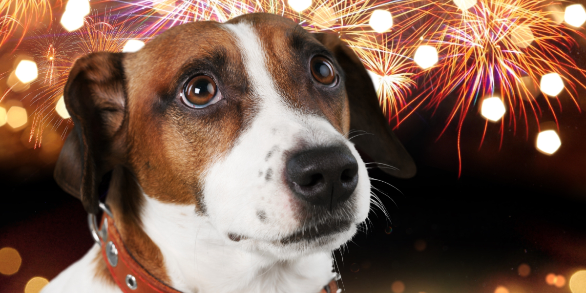 Источник: https://ru.freepik.com/, @BillionPhotos