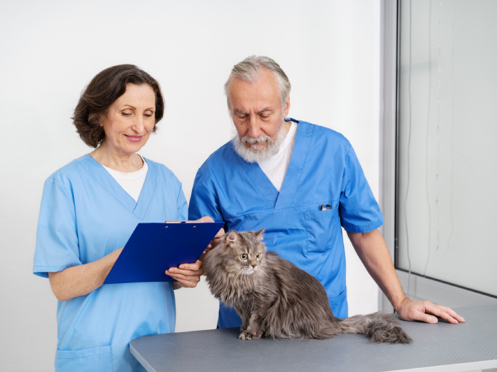 Источник: https://ru.freepik.com/, @freepik