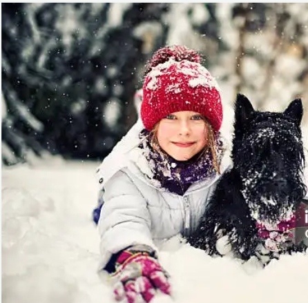 Новый год, снег, собачка,ты...Боль...