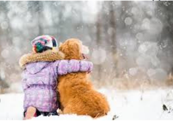 Все фото из открытых источников в интернете 