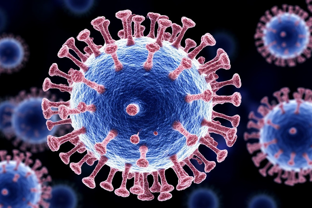    Фото: коллаж RuNews24.ru