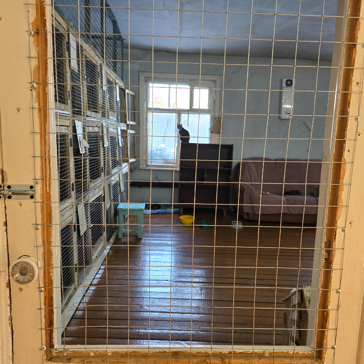 больной отдел за решёткой души ждут